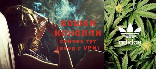 тгк Горнозаводск
