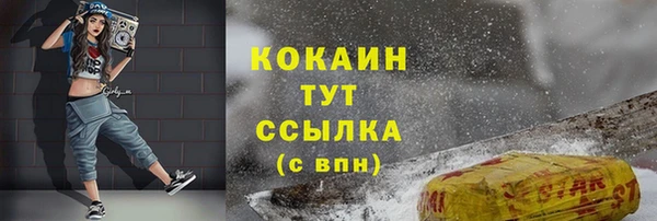 МДМА Горняк