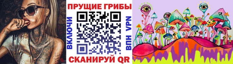 Купить где  Курлово  Псилоцибиновые грибы GOLDEN TEACHER 